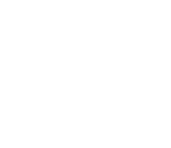 Placeholder Image 1