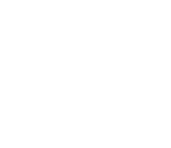 Placeholder Image 4